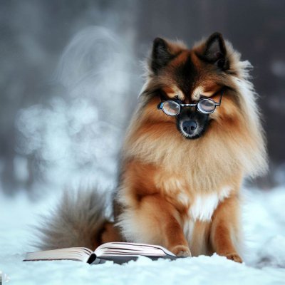 Imagebloke Profile