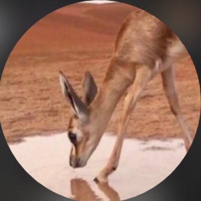 zmli1's profile picture. " لعَلَ الأيام تخجل مِن شّدة صبري "