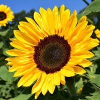 Véronique Genty (@veroniquegenty) 's Twitter Profile Photo Véronique Genty (@veroniquegenty) 's Twitter Profile Photo