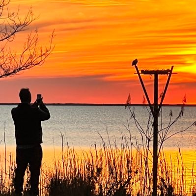 Frank Beamer,Lombardi & GB Fan,Swam for VT, Atlas,Berenson,Musk fan, Exposing Covid/Vax Criminal Complex, Daughter is Clemson Sophomore, Wicked humor,GO HOKIES!