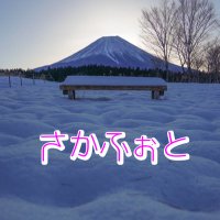 さかふぉと(@saka_photo1103) 's Twitter Profile Photo