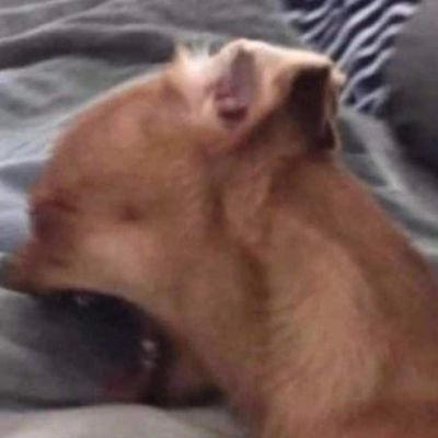 favfiasco's profile picture. she was drowning but nobody saw her struggle