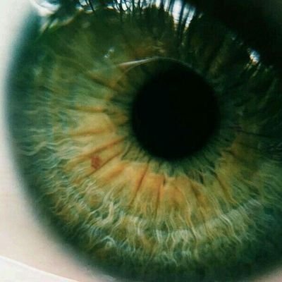 greendreaams