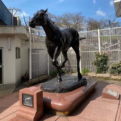 oguricapaikouka's profile picture. よろしくです！馬大好きです！オグリキャップ大好きです。