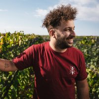 Federico Gambetta (@fedegambett) 's Twitter Profile