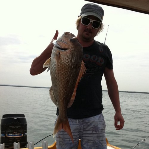 isle_guts's profile picture. 