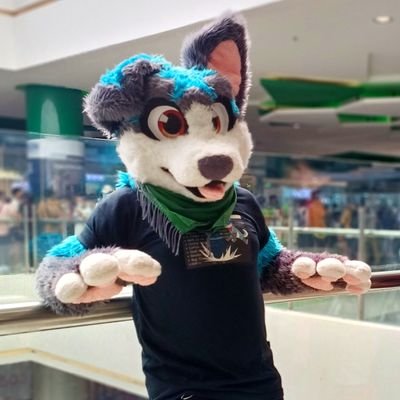 Patch / Patrickさんのプロフィール画像