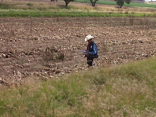 Fertino_c_o's profile picture. energia libre y sustentable...regeneracion