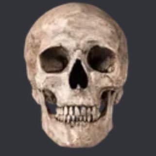 jxckzland's profile picture. hi,I’m Stephanie