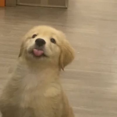 bokbokbruuuさんのプロフィール画像