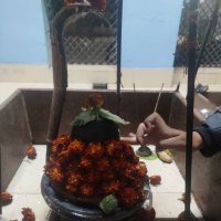 Deepali Arora (@deepali87281985) 's Twitter Profile