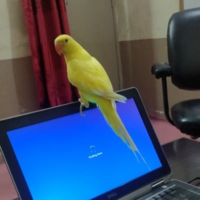 RT_621's profile picture. 100% Follow back. Please give me FB in 24 hrs. 
Otherwise I'll UF you.
A proud Pakistani.  Paki Lover.
 Conceptual and Perceptual .
Mera Des meri Jannat,