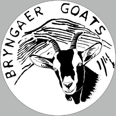 Bryngaer Goats is a Welsh artisan cheese making business producing goats cheese