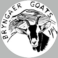 Bryngaer Goats(@bryngaergoats) 's Twitter Profile Photo
