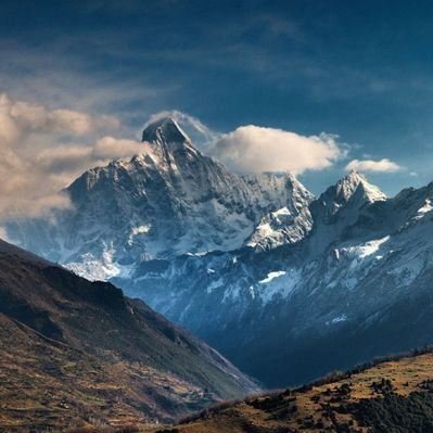 xetohe74893's profile picture. 