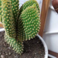 Ana Fernández (@afminan4) 's Twitter Profile