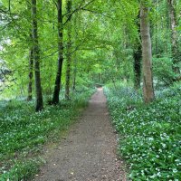 Jim Beveridge (@ipr4smes) 's Twitter Profile