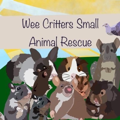 Offical Twitter of Wee Critters Small Animal Rescue, Scottish Highlands 🐹🐭🐰