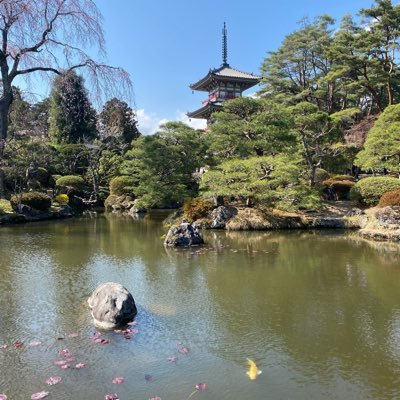 Join me on my daily Japanese learning journey!