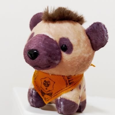 はいろさんのプロフィール画像