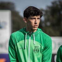 Canário⚡️ (@canario10_f) 's Twitter Profile