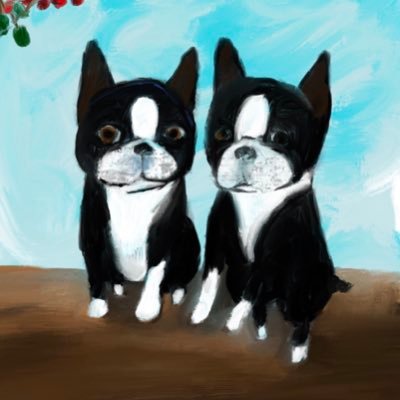 二匹のボストンテリアが愛犬です。絵も描きます。愛犬たちとソロキャンプにも行きます。
