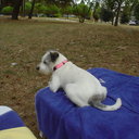 roberto mayer - @robertomayer2 - Twitter