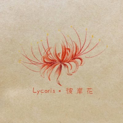 未滿18歲請勿詢問～備用小帳 @Lycorisgirlss彼岸花花語：「熱情、獨立以及重生」 希望我們以熱情待你換取未來的獨立，也期許與我合作的小女人們在達成目標後可以於紛擾中涅槃重生～#付費約 #手繪 #私訊帶禮貌 #花花會親切回覆