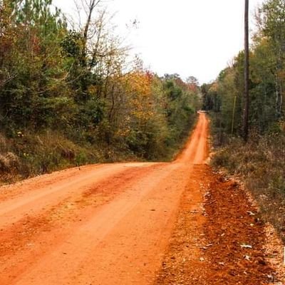 Im a proud Republican and conservative! And I love my country! Im pro-life! I travel the back roads of central Alabama and I love hiking and exploring!