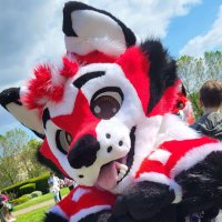Okko 🐾🤍🖤❤️ (@okko_folfa) 's Twitter Profile