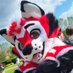 Okko 🐾🤍🖤❤️ (@okko_folfa) Twitter profile photo Okko 🐾🤍🖤❤️ (@okko_folfa) Twitter profile photo