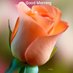 Ikram Ullah (@mughalismpk) Twitter profile photo Ikram Ullah (@mughalismpk) Twitter profile photo