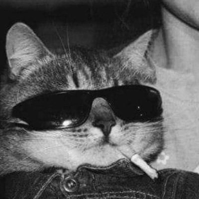 k_coffeecode's profile picture.