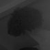 nfdz (@ferreiranoam) Twitter profile photo nfdz (@ferreiranoam) Twitter profile photo