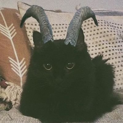 lifewilllkilll's profile picture. Say yes to heaven, say yes to me.