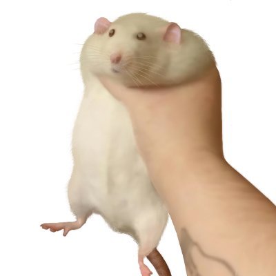 PotatoSack34's profile picture. Save rogue lineage