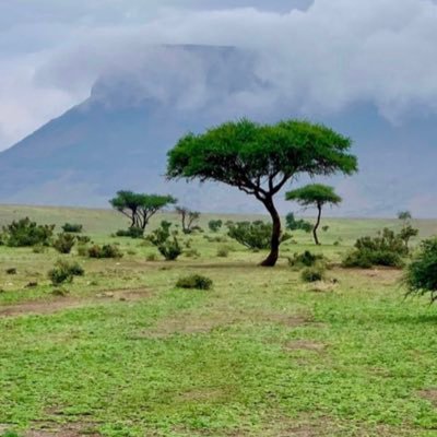 JarallhNas2184's profile picture. ليت العمر مسجد والايام ركعات. وياليتني  لاتبت ما أعيد ذنبي