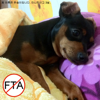미니핀만 26년 키움(우리 엄마가)/ 전형적인 수도권 40대 무당파 중도/ 신자유주의, 한미 FTA 시러함/ 변희재, 정미홍은 혐오함/ 그냥 99%편/ 수꼴, 새누리당, 노빠, 안빠 골고루 다 깜/ 상식과 비상식 프레임 선호