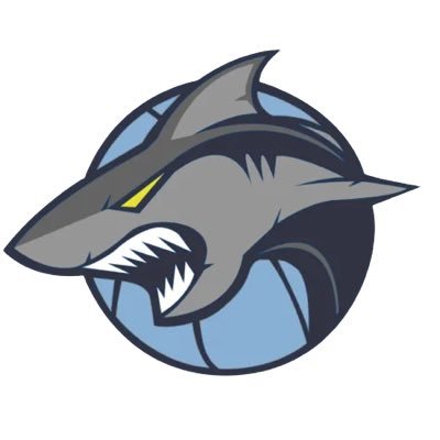 shark_united Profile Picture