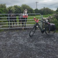 Gort Cycle Trails (@cyclegort) 's Twitter Profile Photo