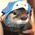 Gecko (@geckoofps) Twitter profile photo Gecko (@geckoofps) Twitter profile photo