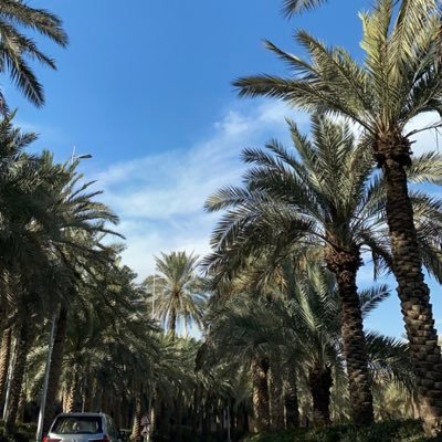 Leoo2O23's profile picture. 