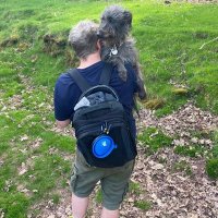 SocioMediaPath (@sociomediapath) 's Twitter Profile