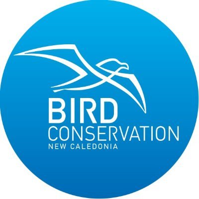 BirdCaledonia Profile Picture