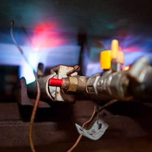 ElmtreeBeers's profile picture. A small brewery dedicated to brewing great real ale fine Bitters, Stouts, a superb Mild, and the occasional speciality beer