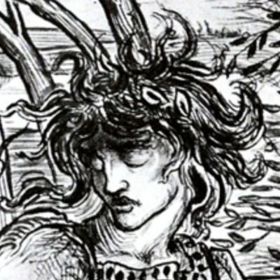 hissingfaunae's profile picture. P5, HI3, HSR, TWST, Black Butler, etc.
|| only retweets