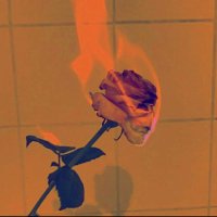 lllastking26 (@llastking26) 's Twitter Profile Photo lllastking26 (@llastking26) 's Twitter Profile Photo