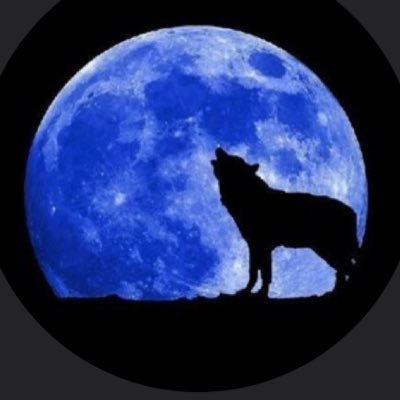Astralwolves75 Profile Picture