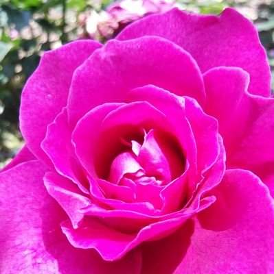 HONMONO_ZUKI's profile picture. 元気が取り柄😄いつも幸せ🌞🥰
神社仏閣・博物館・美術館巡りが大好き❗
市民向けの東大寺、当麻寺、喜光寺、法隆寺等の講座受講。大阪市立美術館の密教法具良かった😊正倉院展の瑠璃杯😊不思議な清らかさ✨何とも言えない青❗美しい❗
大和文化会２月の講座行きます😄
✨スピ系大好き。ネコ派です！