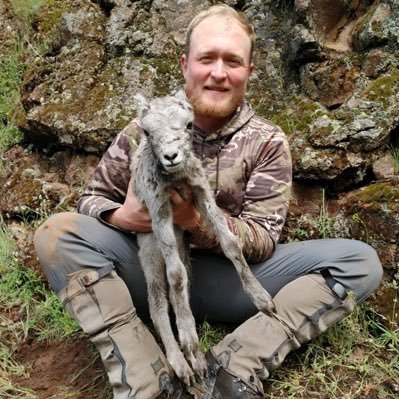 PhD Student studying Bighorn sheep nutritional ecology and movement in the Teton Range of Wyoming. @uidaho. https://t.co/ZHI5B0KGrP. Army Veteran